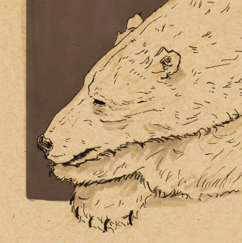 sketching