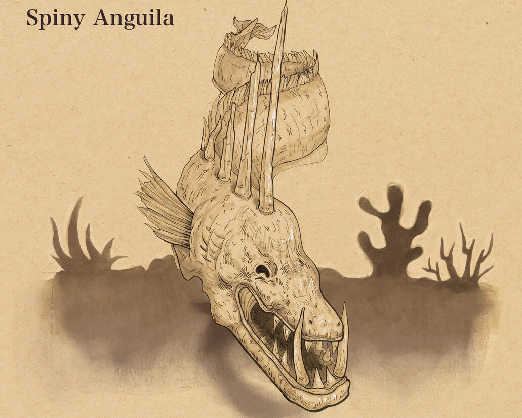 Spiny Anguila