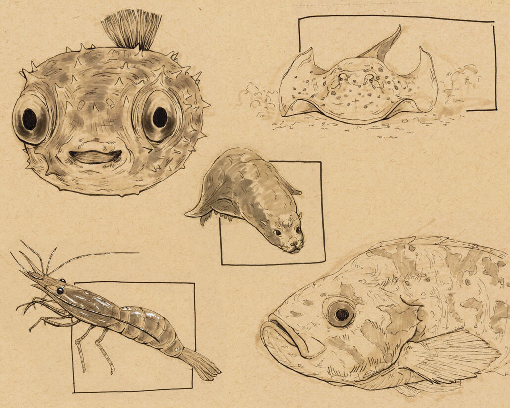 Fish Page