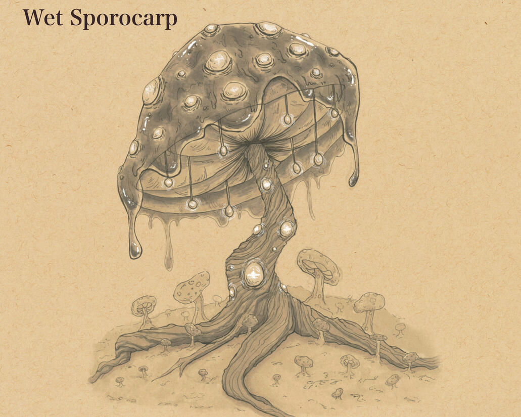 Wet Sporocarp