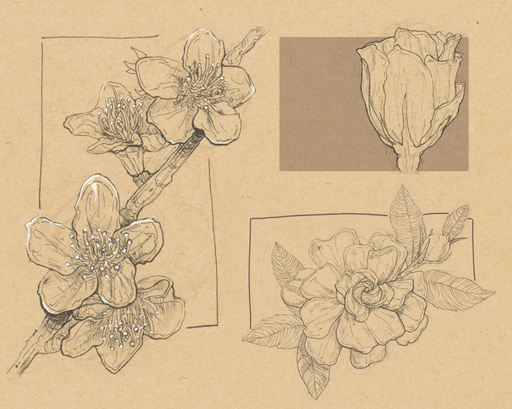 Plant Page