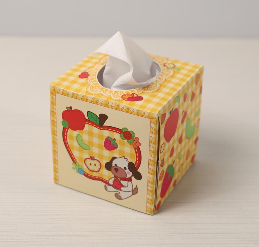 Tissue Box Design